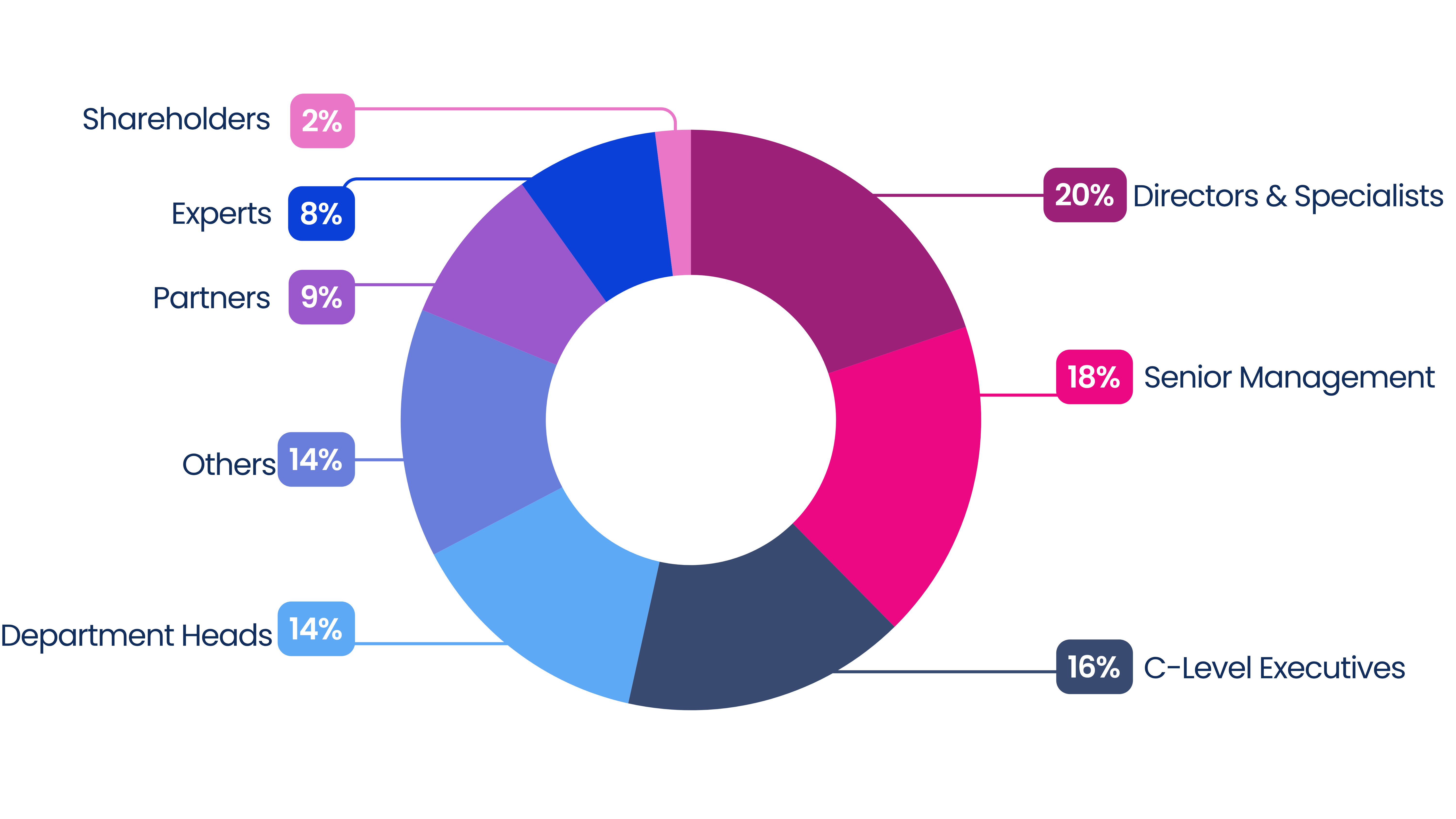 Senior Decision Makers Demographics