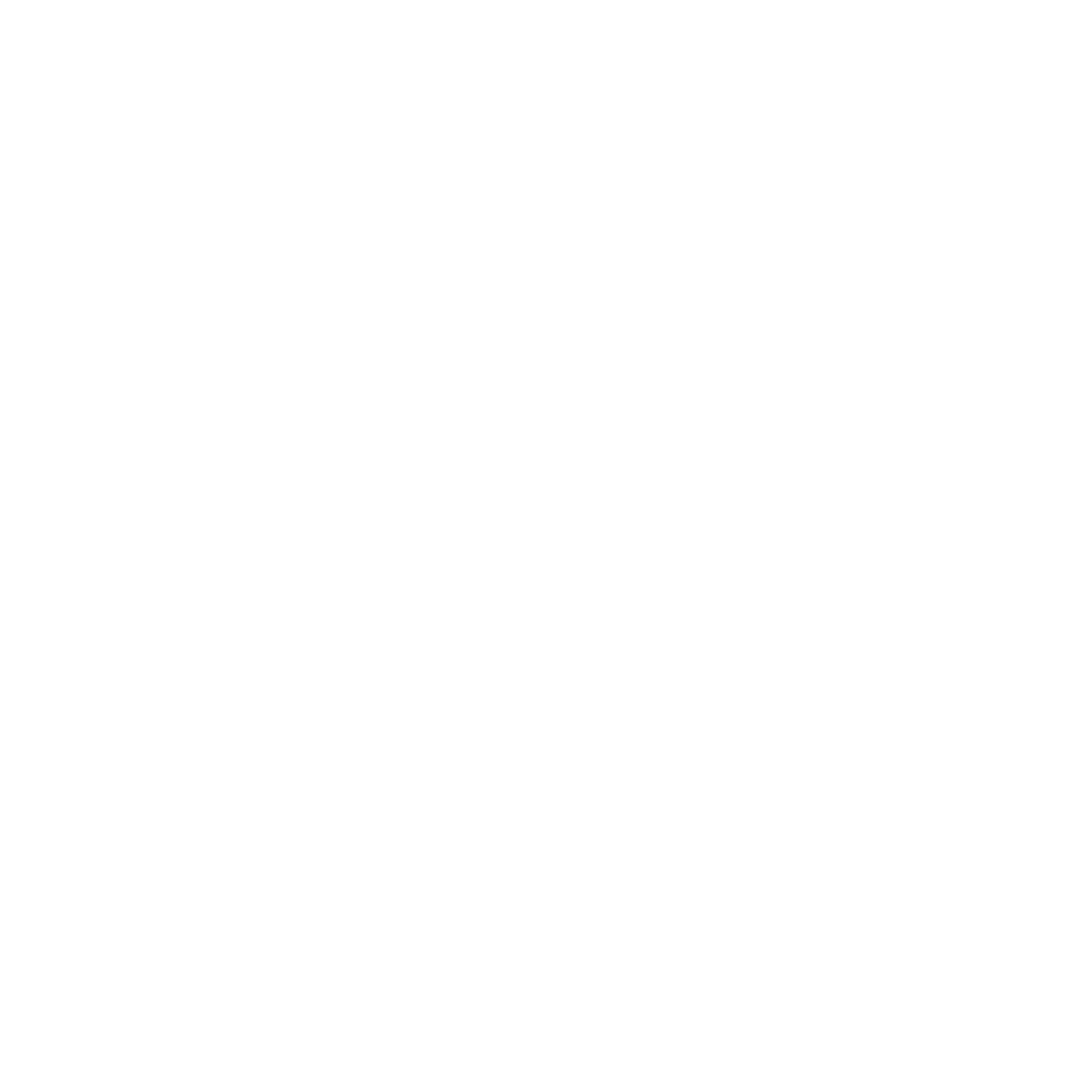 Expert Speakers Icon